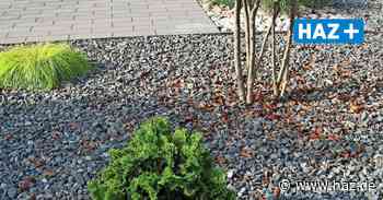 Hemmingen: Stadt will gegen Schottergärten vorgehen - Hannoversche Allgemeine