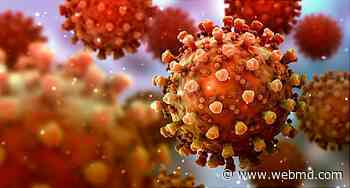 US Scientist Finds Deleted Coronavirus Genetic Data - WebMD