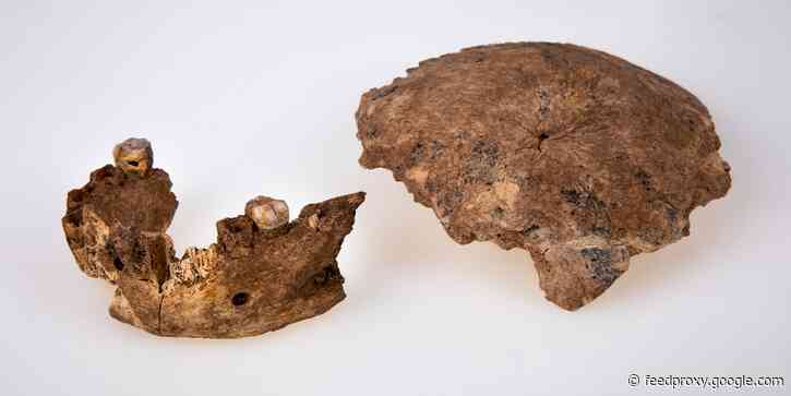 A human ancestor previously unknown to science lived alongside ancient humans and Neanderthals - and they all interbred