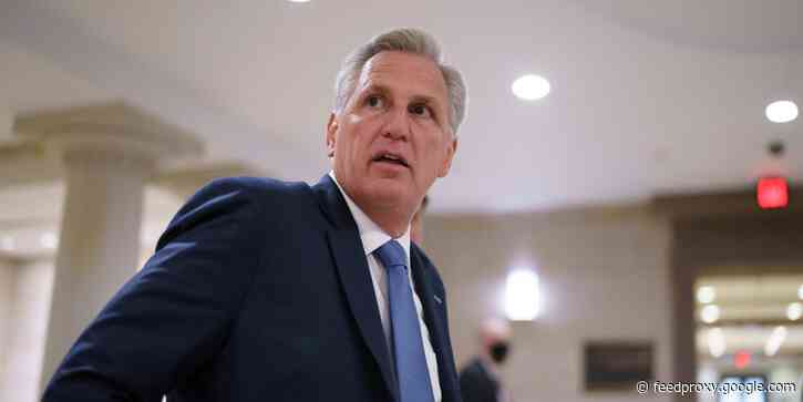 Kevin McCarthy mistakenly attributes a 19-year-old's poster promoting the child tax credit to the IRS