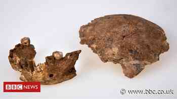 New type of ancient human discovered in Israel