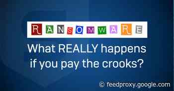 Ransomware: What REALLY happens if you pay the crooks?