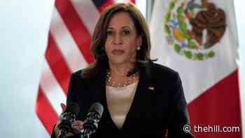 Two top travels aides for Harris are leaving their posts: report