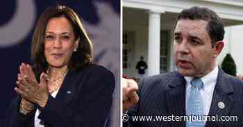 Even a Democratic Rep Is Slamming Kamala's 'Politically Safer,' 'Check-the-Box' Border Trip