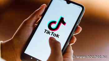 TikTok says vaccine misinformation video 'doesn't violate guidelines'