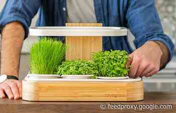Novagrow superfood indoor garden