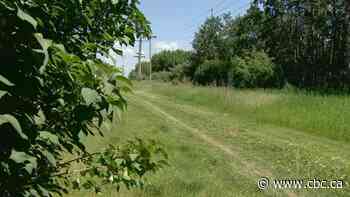 Man with knife attacks sisters wearing hijabs outside Edmonton, RCMP say