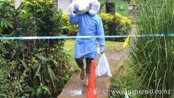 Covid 19 coronavirus: Fiji crisis worsens, 308 new positive cases overnight - New Zealand Herald