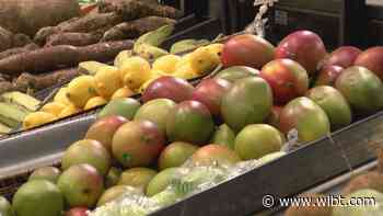 Fruit and vegetable giveaway slated for 1 pm Thursday in Bolton - WLBT