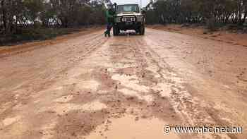 Farmer pleads with council to improve road he says is a threat to his business