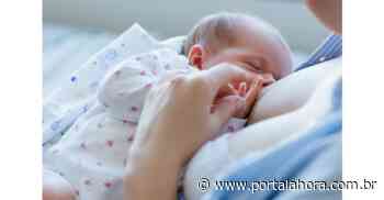 Covid-19: Saúde de Imbituba inicia a imunização de mulheres lactantes na próxima terça-feira; confira o calendário de vacinação - Portal AHora