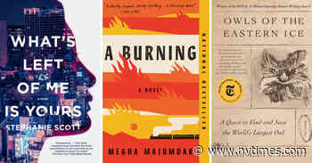 New in Paperback: ‘Nothing Is Wrong and Here Is Why’ and ‘Billion Dollar Loser’
