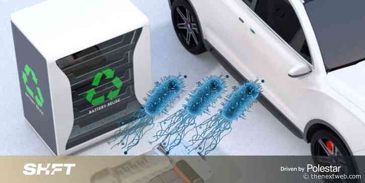 Bacteria – yes, bacteria – could be the key to recycling EV batteries