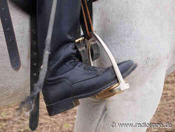 Blomberg: erneut Pferd von Tierquäler verletzt - Radio Lippe
