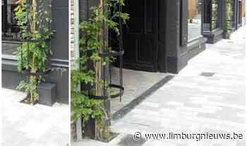 Lommel: Tegeltuintjes in de straten van Lommel (24 juni 2021) - Limburgnieuws.be