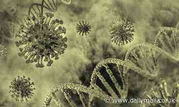 Health: Another coronavirus epidemic hit humanity more than 20,000 years ago, DNA analysis reveals 