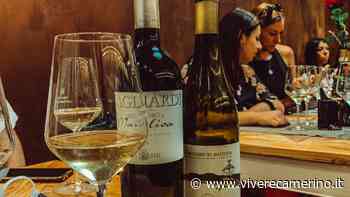 Viaggio di gruppo nel territorio del Verdicchio di Matelica per gli studenti di Wine Salad - Vivere Camerino