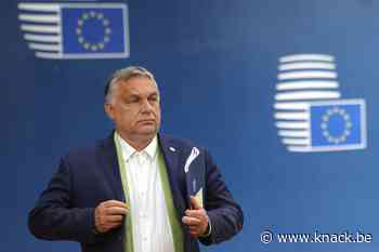 Veel protest tegen Orbán, maar wat kan de EU echt doen?