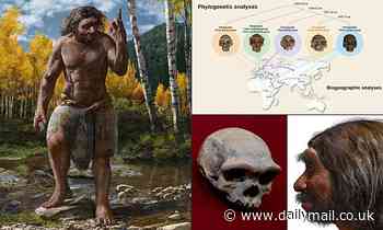 Archaeology: 'Dragon Man' from 150,000 years ago may replace Neanderthals as our closest relative