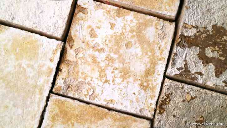 Mycelium is "part of the solution" to carbon-negative buildings