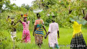 MALI/SENEGAL: “Olympic Forest” to be planted in 90 villages - AFRIK 21