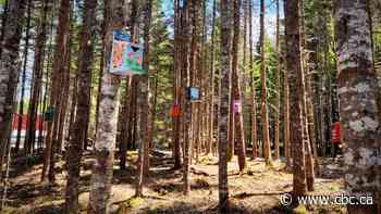 Nova Scotia school fosters learning and reconciliation with forest path - CBC.ca