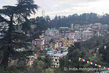As Dharamshala grows, the city eats into the forest - Mongabay-India