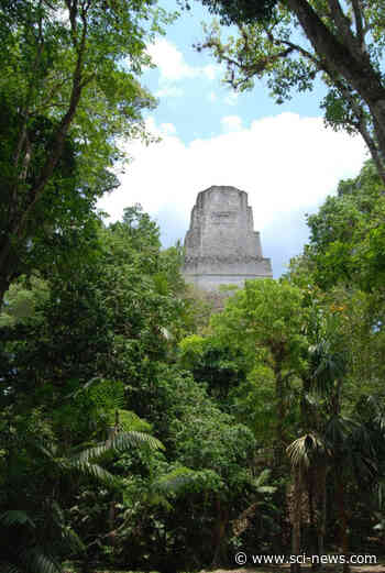 Ancient Maya Maintained Native Tropical Forest Plants around Their Water Reservoirs | Archaeology - Sci-News.com