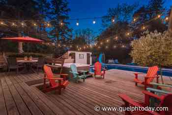 Spotlight: Forest in the city: Old University home rich in comforts - GuelphToday