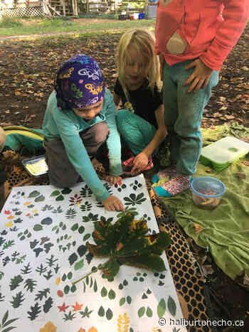 Parents write letters to TLDSB advocating for forest school - Haliburton County Echo