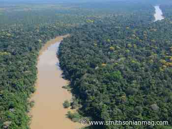 In a Remote Amazon Region, Study Shows Indigenous Peoples Have Practiced Forest Conservation for Millennia - Smithsonian Magazine