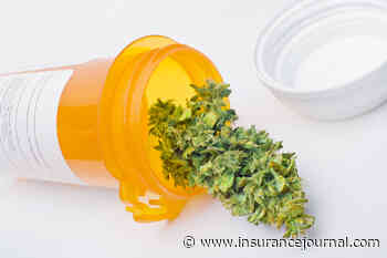 North Carolina Senate Committee Holds Hearing on Medical Marijuana - Insurance Journal