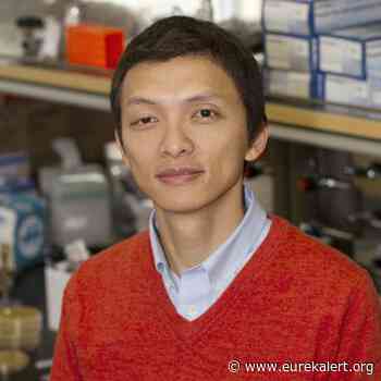 Small-scale engineering could bring big progress in medical care - EurekAlert