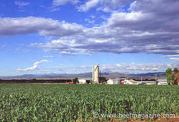 RaboResearch: High prices for many sectors of ag