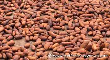 Ghana and Cote d'Ivoire launch new threats to cocoa companies over LID payments - ConfectioneryNews.com