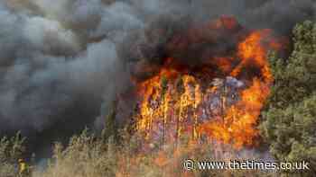 Monks fight California forest blaze | World - The Times