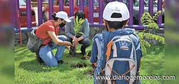 Plantan 70 árboles en Parque Ecológico Acapantzingo, Cuernavaca - Diario de Morelos