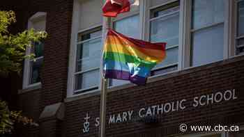 Peterborough's Catholic schools won't fly Pride flag in June after narrow vote