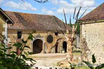 Parcours artistique à la ferme des Metz, à Saint-Sauveur-en-Puisaye : la programmation - L'Yonne Républicaine