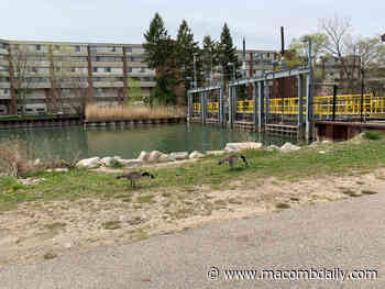 Revised operations keep sewage overflows out of Lake St. Clair - The Macomb Daily