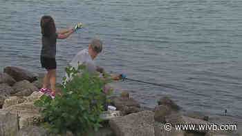 Fishers can enjoy 'Free Fishing' across NYS this weekend