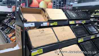 Brits warned of 'inevitable' food shortage 'crisis' in UK supermarkets - Dorset Echo