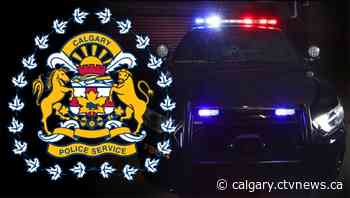 Nearly $1.2M worth of drugs seized during 2 Calgary raids - CTV Toronto