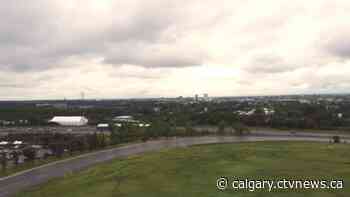 Proximity to Canada Day fireworks of no additional concern for Calgary Zoo - CTV Toronto