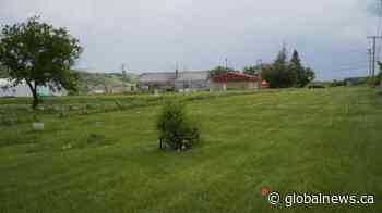 Ground-penetrating radar requires sensitive work, and more experts to use it