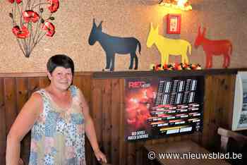 Ezels in Belgische driekleur in Café Moderne