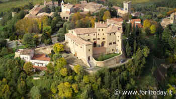 Esperti da tutto il mondo a Bertinoro per un convegno sull'infezione del flusso sanguigno - ForlìToday