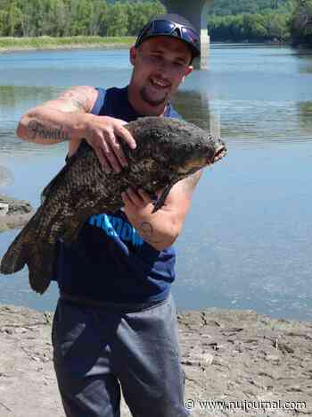 New record carp caught in Lake Champlain - Brattleboro Reformer - Carp ...