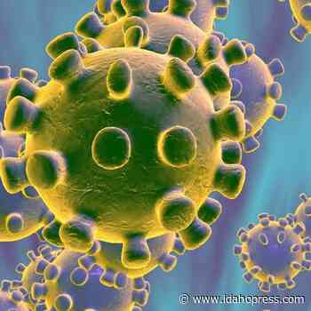 Idaho to expand coronavirus variant sequencing... - Idaho Press-Tribune