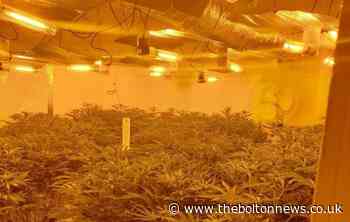 Albanian cannabis farmer could have been victim of modern slavery